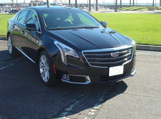 Perfect for Every Occasion