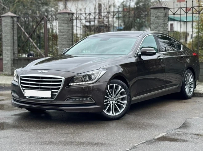 Ideal for Every Occasion