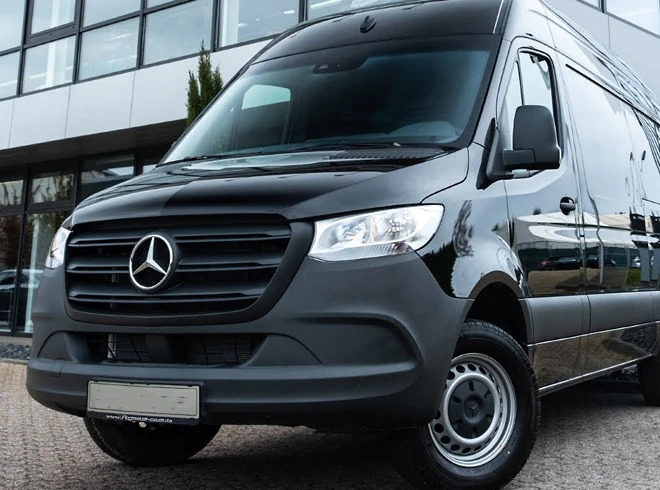 Perfect for Every Occasion